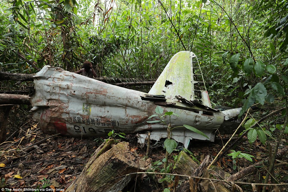 Een stuk van een Japanse 'Zero' jachtvliegtuig in de jungle van de Guadalcanal eilanden (Solomon Eilanden)